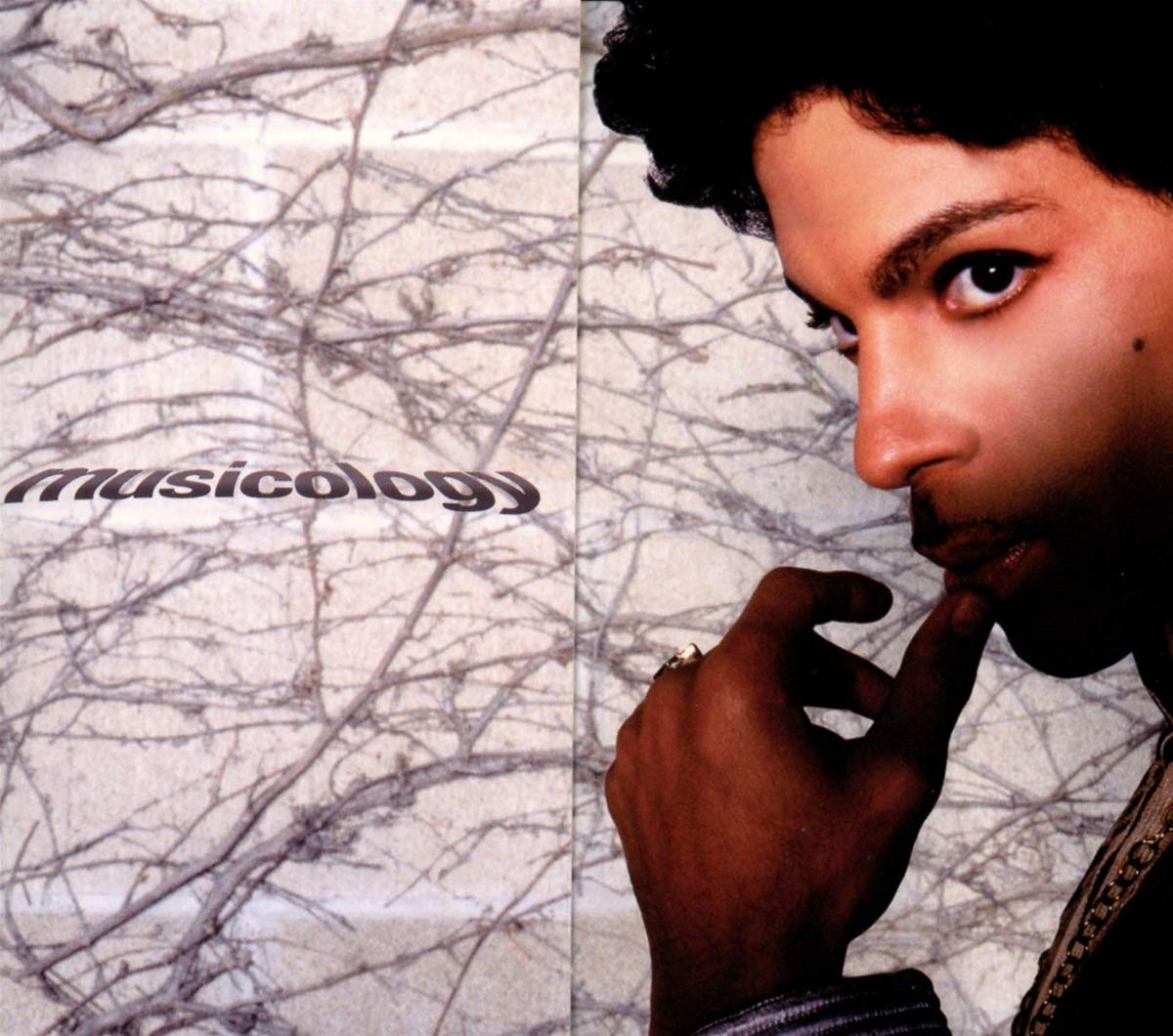 Prince - Musicology