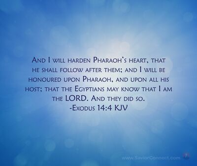 Pharaoh